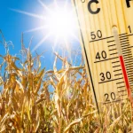 Die besten Tipps gegen die Sommerhitze: So bleiben Sie cool